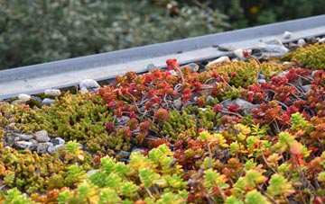 the cost of Cumbers Bank green roof installation