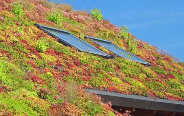 Cumbers Bank living roof systems